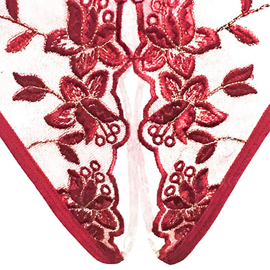 下着 パンティ・ショーツ(Sexy Underwear T-back・Shorts) dr159商品サムネ画像