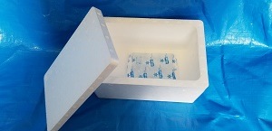 ���������롡C20��56������+�����100���180�����ˡ�2�����å�