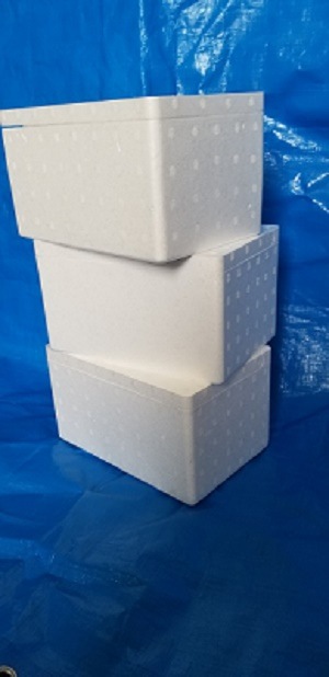 ���������롡C20��56������+C20��56������+C20��56�����ˡ�3�����å�