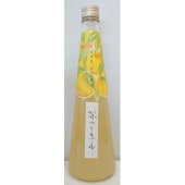 刀 稲妻 PREMIUM 40% スピリッツ 500ml お酒｜小野酒店