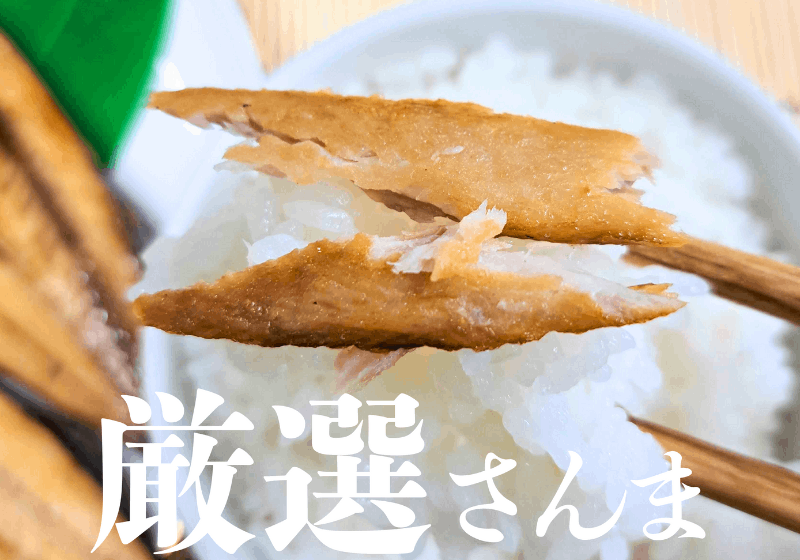 【白米に合う】さんま開き３枚入