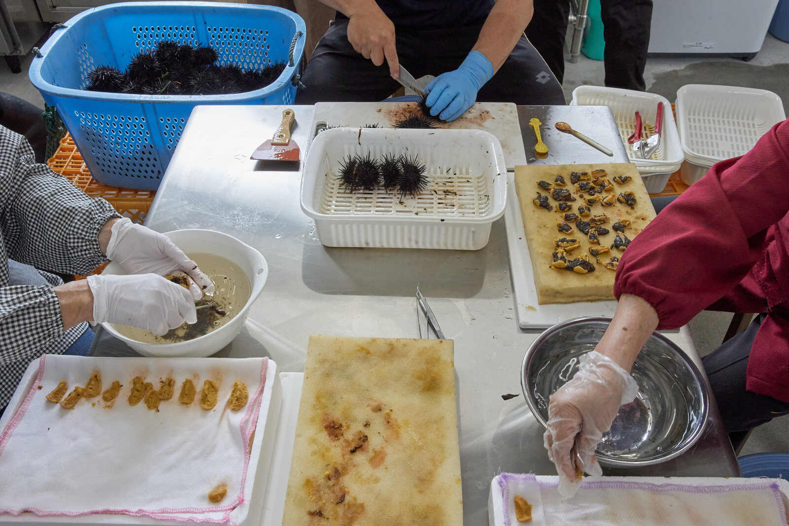 【新物】2025年いわき産うに貝焼き(1個)【お中元・夏ギフトにオススメ】