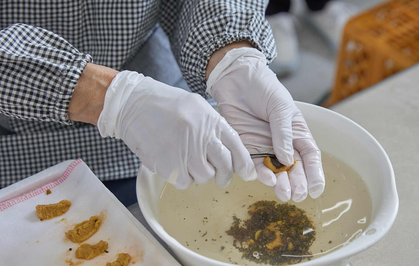 【新物】2025年いわき産うに貝焼き(1個)【お中元・夏ギフトにオススメ】