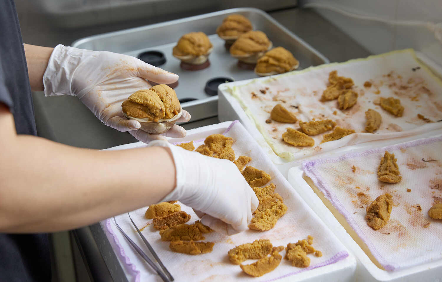 【新物】2025年いわき産うに貝焼き(1個)【お中元・夏ギフトにオススメ】