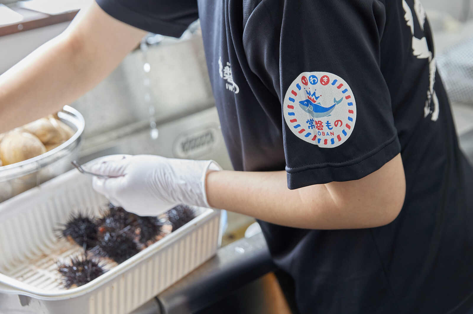 【新物】2025年いわき産うに貝焼き(1個)【お中元・夏ギフトにオススメ】