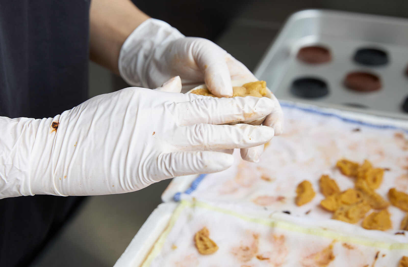 【新物】2025年いわき産うに貝焼き(1個)【お中元・夏ギフトにオススメ】