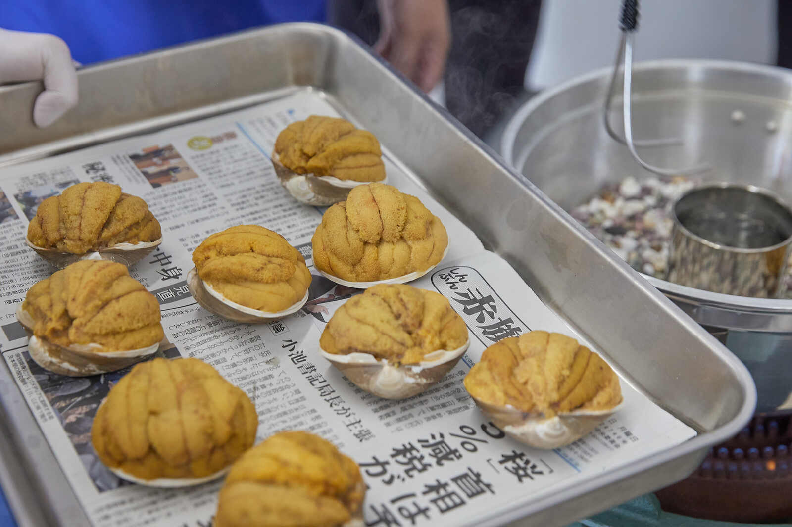 【新物】2025年いわき産うに貝焼き(1個)【お中元・夏ギフトにオススメ】