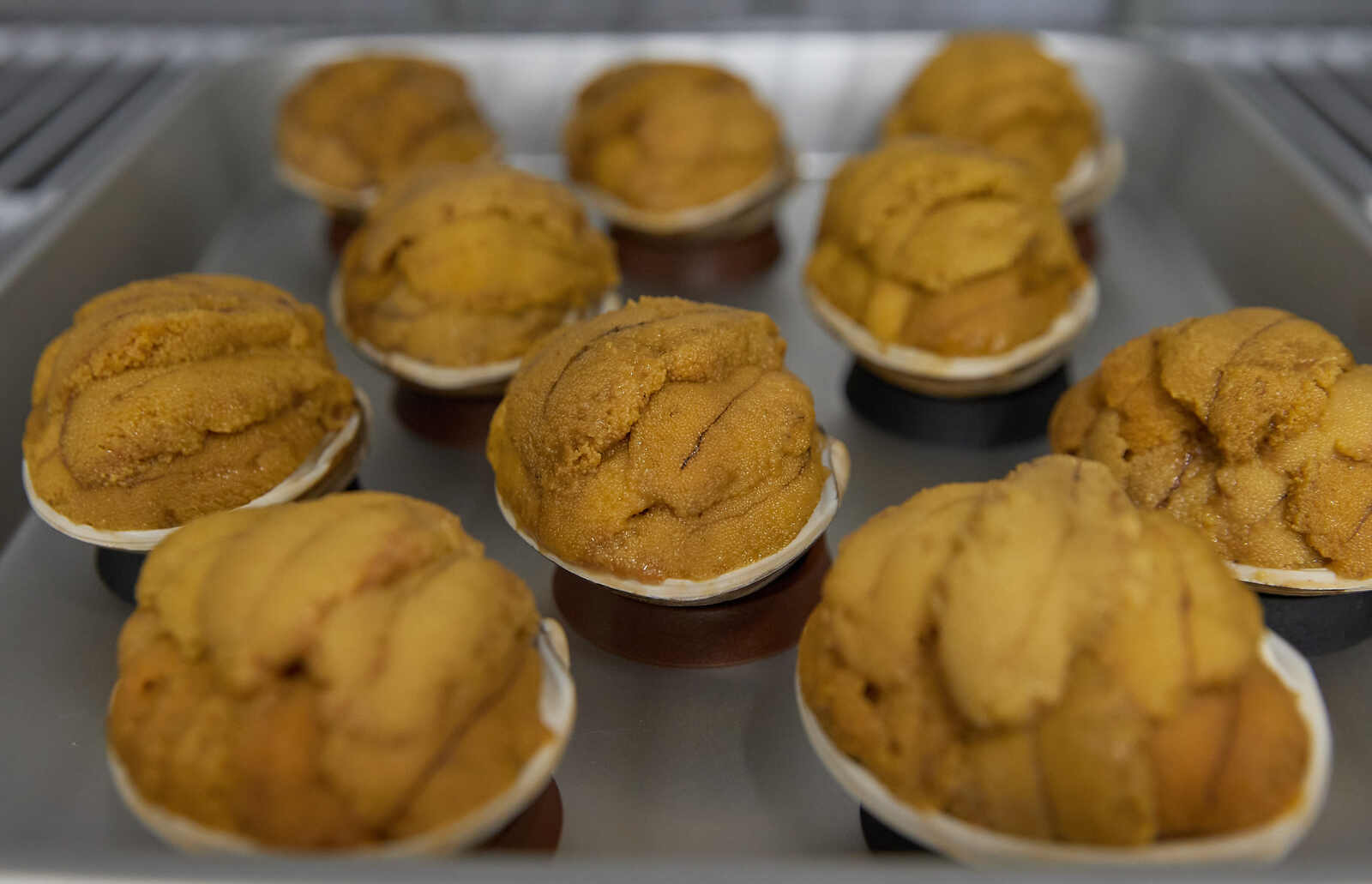 【新物】2025年いわき産うに貝焼き(1個)【お中元・夏ギフトにオススメ】