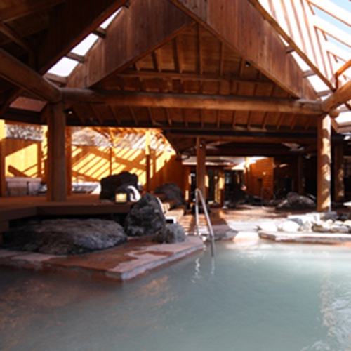 自然に囲まれた、温泉ゾーンの多彩なお風呂の中には
「硫黄泉」「弱アルカリ泉」「マグネシウム泉」と3種の温泉成分を
含んだお風呂がございます。

