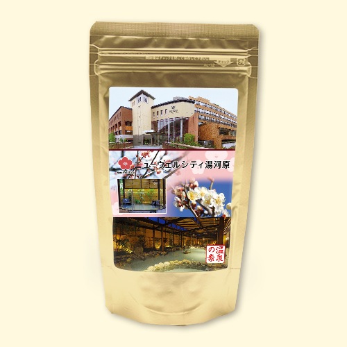 温泉の素 ニューウェルシティ湯河原の湯 (梅)