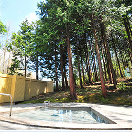 間近に森をながめ、自然を肌で感じながらひたる露天風呂 
大自然の中深呼吸して、温泉につかる至福のひとときです。 