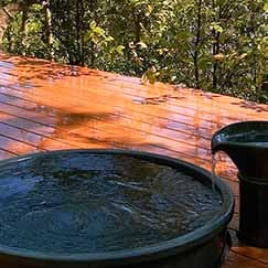 山の湯・森の湯。