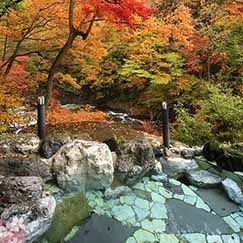 渓谷の絶景を目の当たりにしつつ、 自然と一体感を楽しめる露天風呂です。 