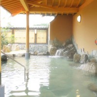 彩の湯　薬用入浴剤 御嶽山入浴剤(生薬100%)|日野製薬オンラインショップ