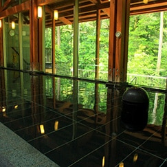 地下1,500mから湧出し、アルカリ度がとても高く pH10.1のお湯は、美肌の湯。