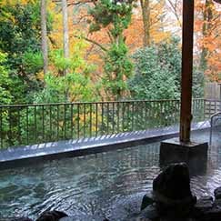 浴槽からの大きな窓越しの風景は、春は新緑、夏の深緑、秋は紅葉、冬の雪景色が私たちを楽しませてくれます。