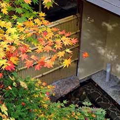 新緑・紅葉・雪見と美しい自然との調和を全身で感じながら、ご入浴下さい。