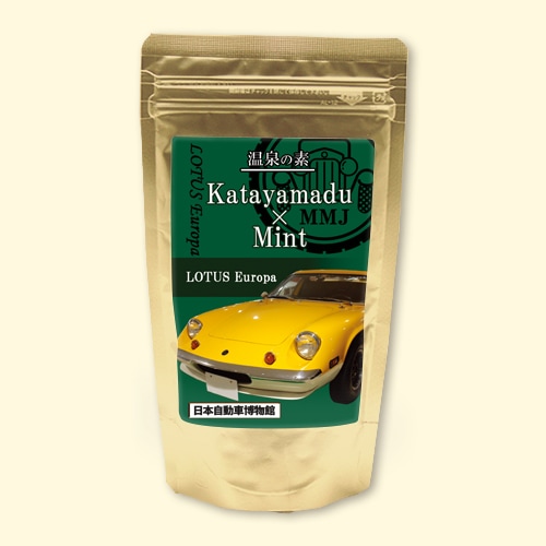 温泉の素 日本自動車博物館 ミントの湯