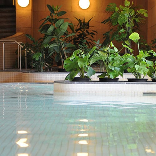 発刊作用を促し、 新陳代謝と リラックス効果を 高める熱めのお風呂。