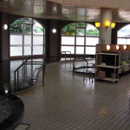 炭酸水素イオンを多く含み、アルカリ性の温泉です。