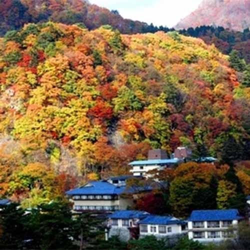 お湯は神経痛や五十肩、疲労回復や健康増進に効くというアルカリ性単純温泉で、肌にも優しい軟らかな泉質です。