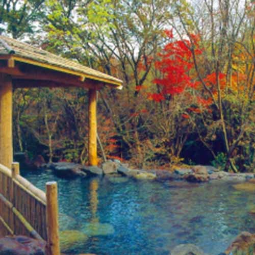 秋の露天風呂

自然をそのままに生かした
星生倶楽部の露天風呂ならではの紅葉を
 お楽しみ頂けます。