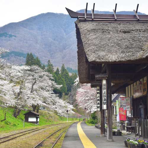【湯野上温泉駅】日本でも珍しい茅葺屋根の駅舎
全国唯一の『茅葺（かやぶき）』の駅舎です。中には囲炉裏があり、昼間はお茶をいただけます。