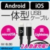 ڥå5ۡiPhone Android  USBť֥ 饤ȥ˥ MicroUSB 2A®  ǡž OL-205