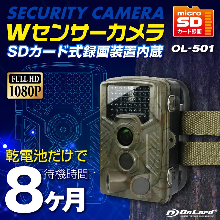 �����佪λ��W���󥵡������ (OL-501) �����Ӽ� ��������
