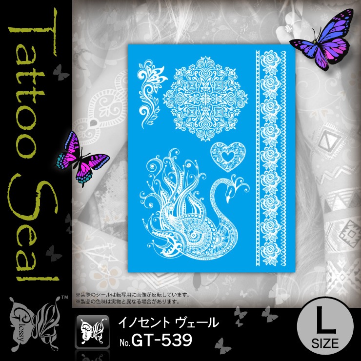 ���ȥ���������  ���Υ���ȥ������� (GT-539)��10���åȡ�