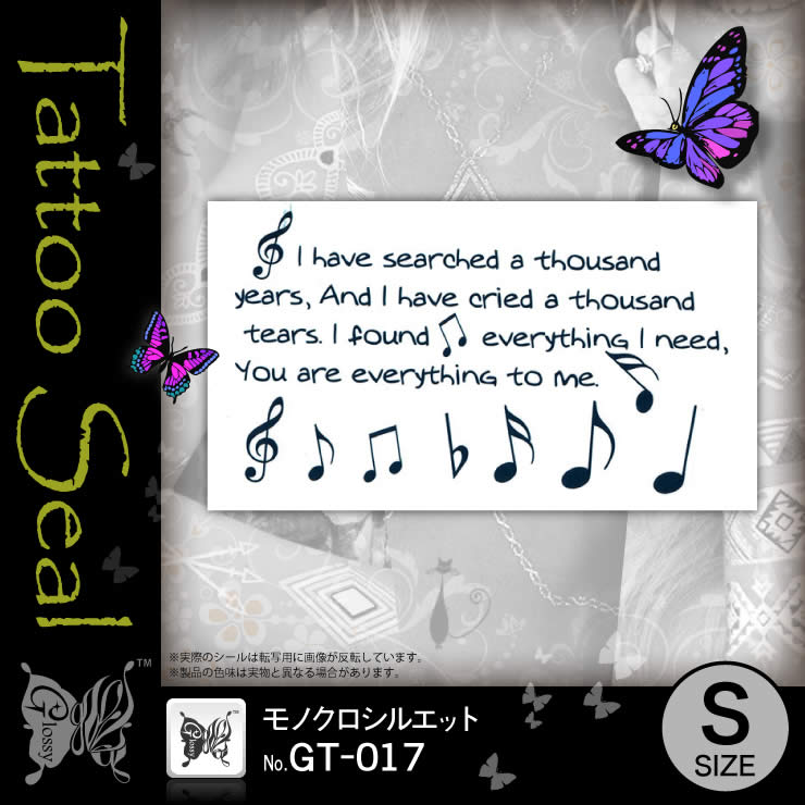 ���ȥ��������� ��Υ������륨�å� (GT-017) ��10���åȡ�