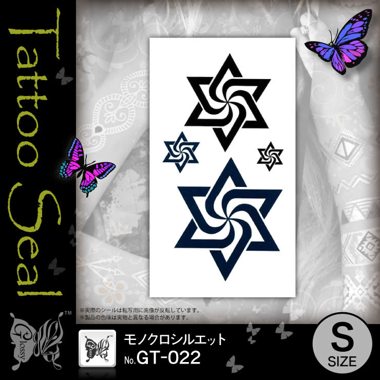 ���ȥ��������� ��Υ������륨�å� (GT-022) ��10���åȡ�