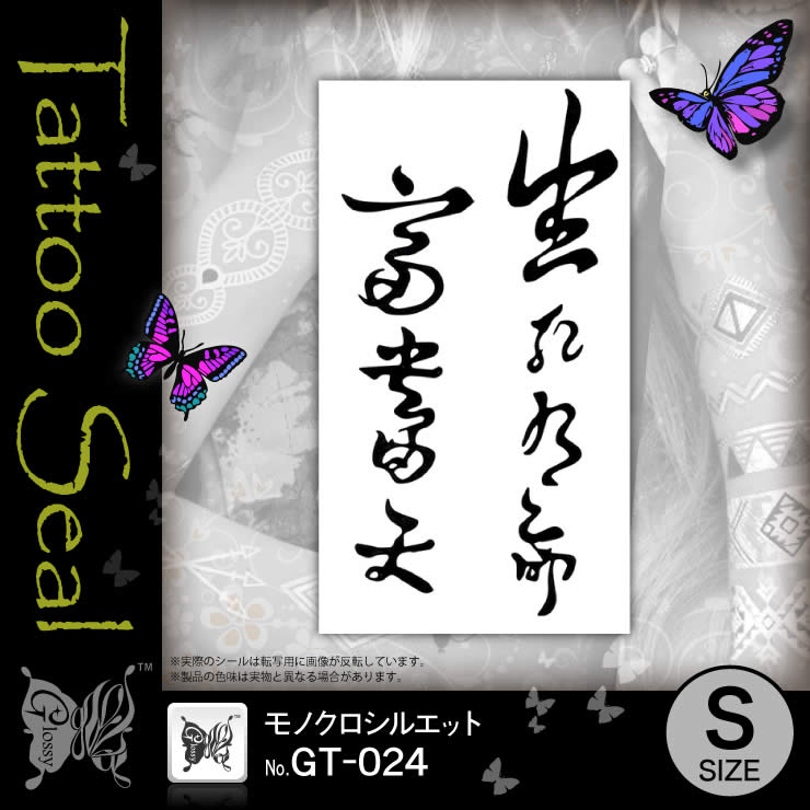 ���ȥ��������� ��Υ������륨�å� (GT-024) ��10���åȡ�