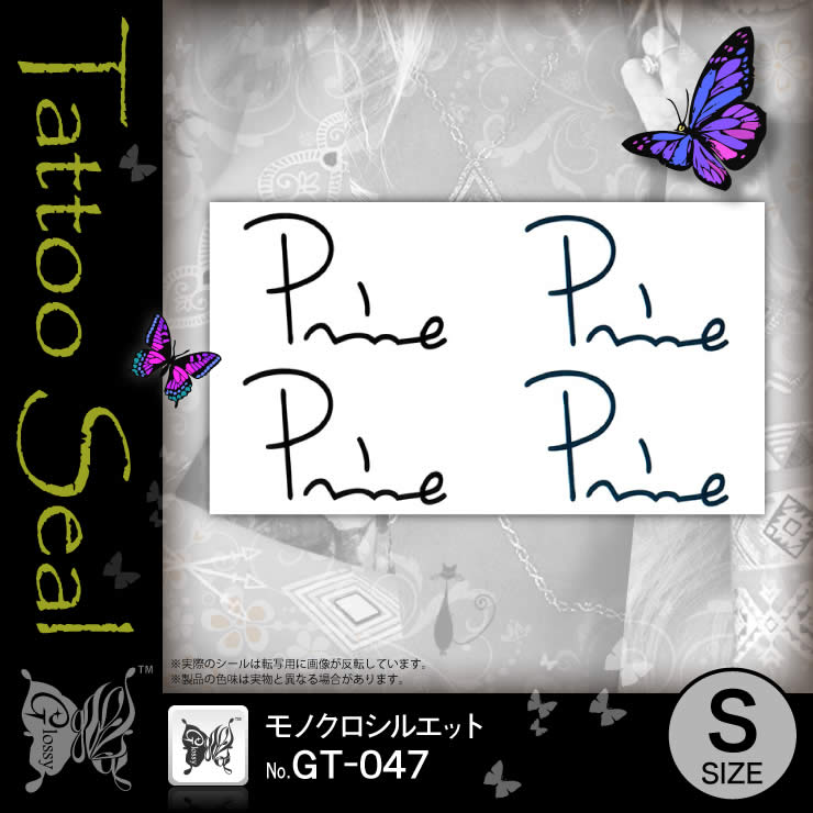 ���ȥ��������� ��Υ������륨�å� (GT-047) ��10���åȡ�