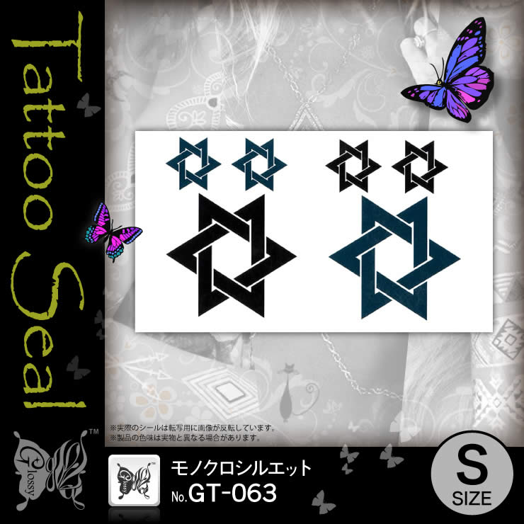 ���ȥ��������� ��Υ������륨�å� (GT-063) ��10���åȡ�