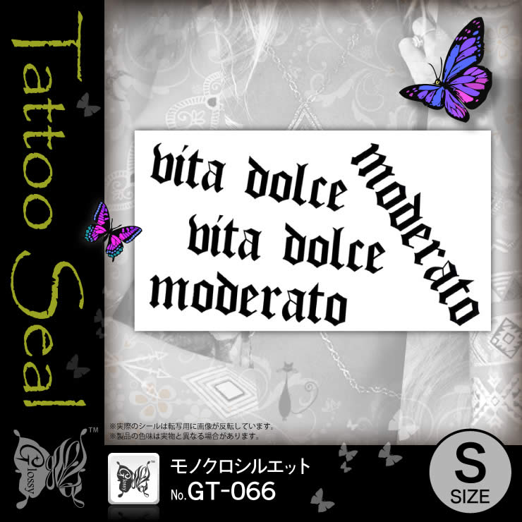 ���ȥ��������� ��Υ������륨�å� (GT-066) ��10���åȡ�