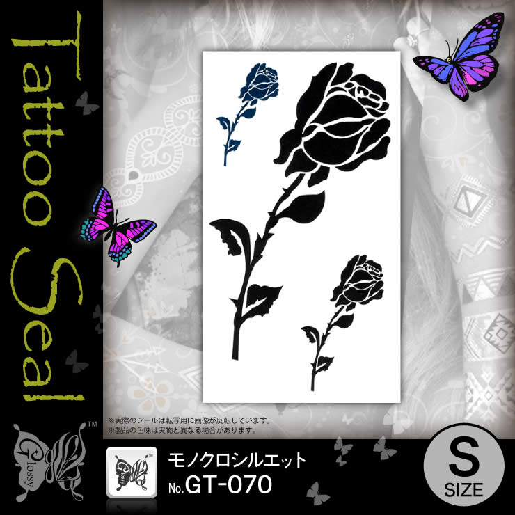 ���ȥ��������� ��Υ������륨�å� (GT-070) ��10���åȡ�