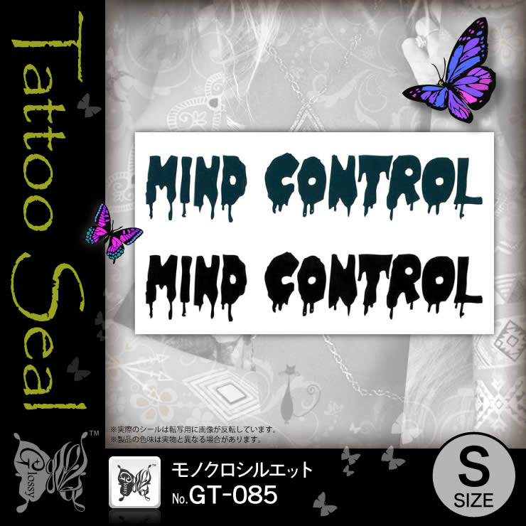 ���ȥ��������� ��Υ������륨�å� (GT-085) ��10���åȡ�