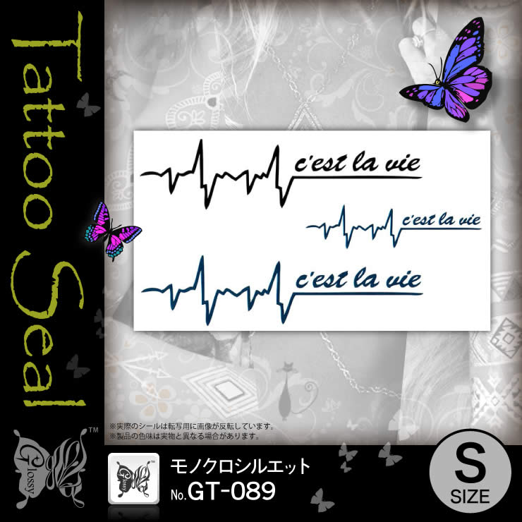 ���ȥ��������� ��Υ������륨�å� (GT-089) ��10���åȡ�