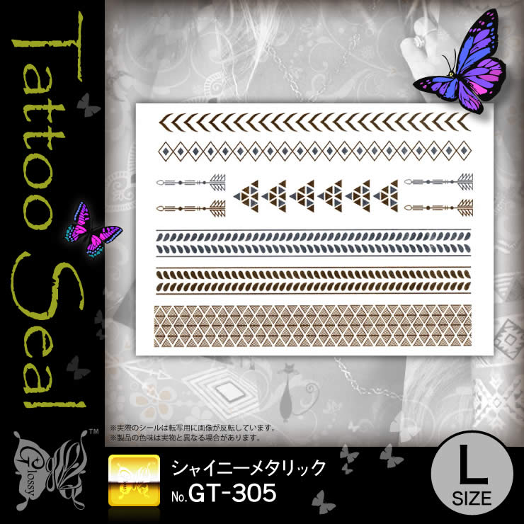 ���ȥ��������� ���㥤�ˡ��᥿��å� (GT-305) ��10���åȡ�