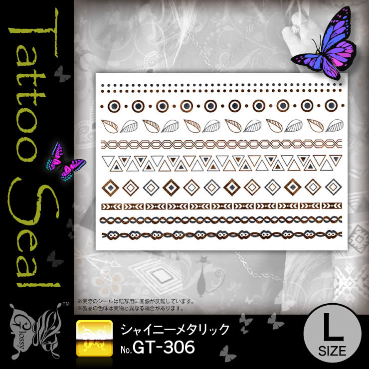 ���ȥ��������� ���㥤�ˡ��᥿��å� (GT-306) ��10���åȡ�