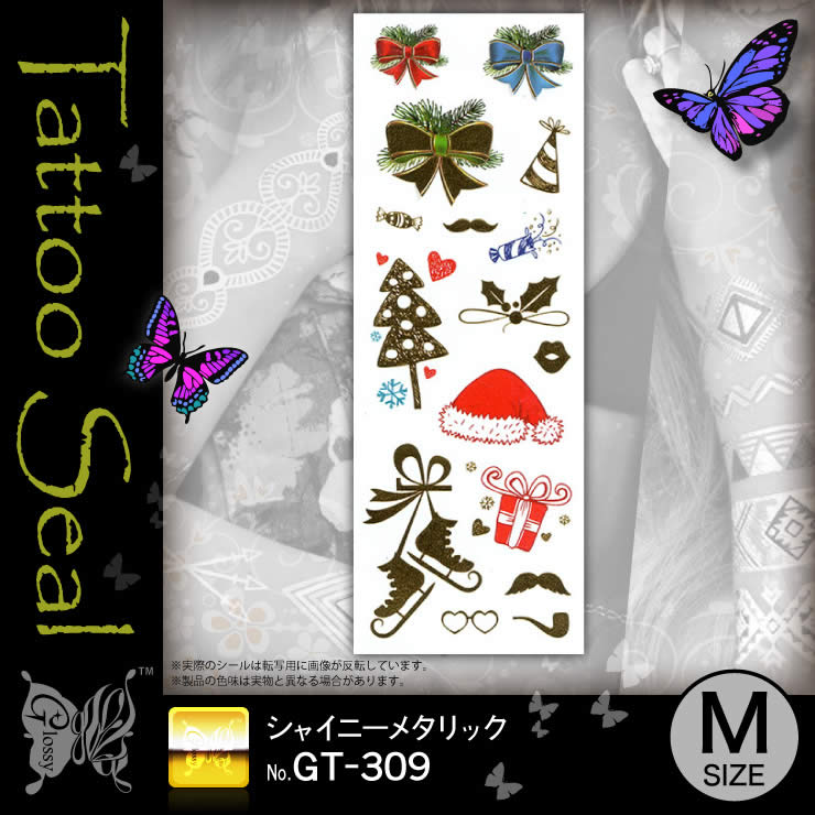 ���ȥ��������� ���㥤�ˡ��᥿��å� (GT-309) ��10���åȡ�