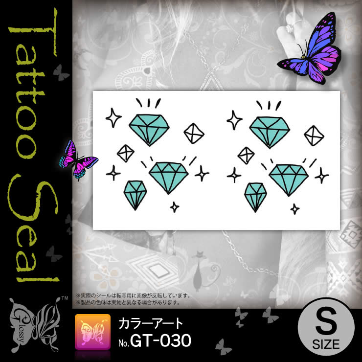 ���ȥ��������� ���顼������ (GT-030) ��10���åȡ�