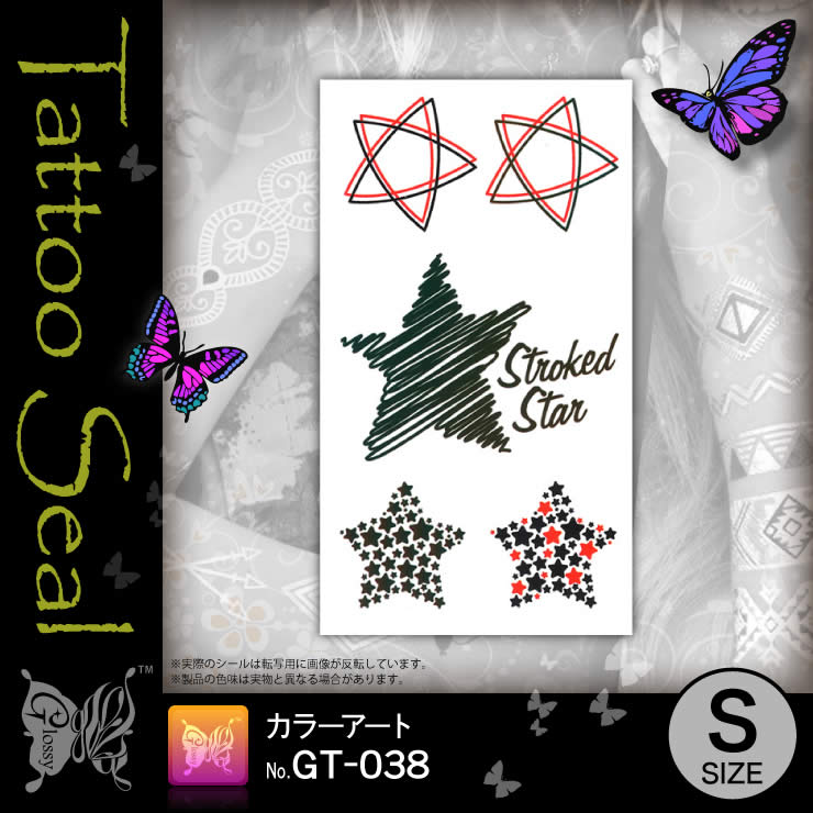 ���ȥ��������� ���顼������ (GT-038) ��10���åȡ�