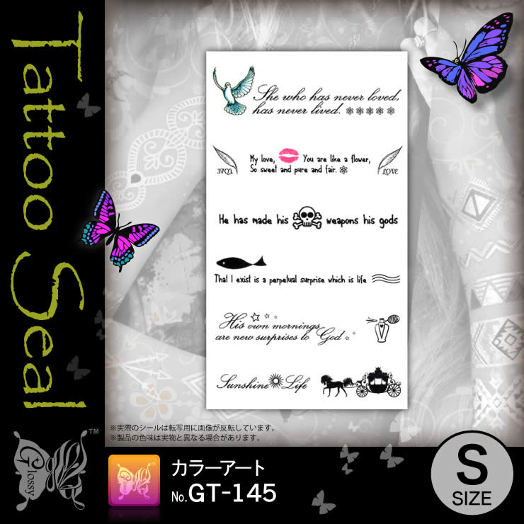 ���ȥ��������� ���顼������ (GT-145) ��10���åȡ�