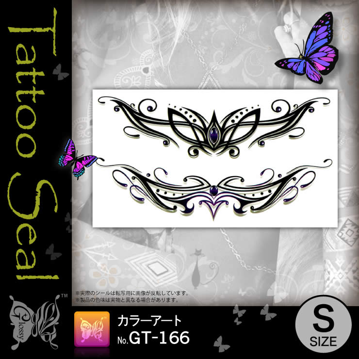 ���ȥ��������� ���顼������ (GT-166) ��10���åȡ�