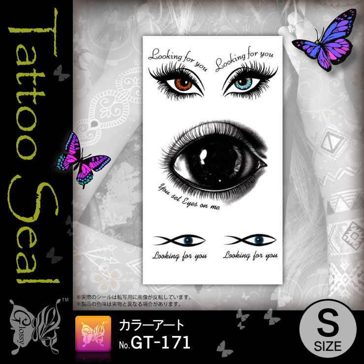 ���ȥ��������� ���顼������ (GT-171) ��10���åȡ�