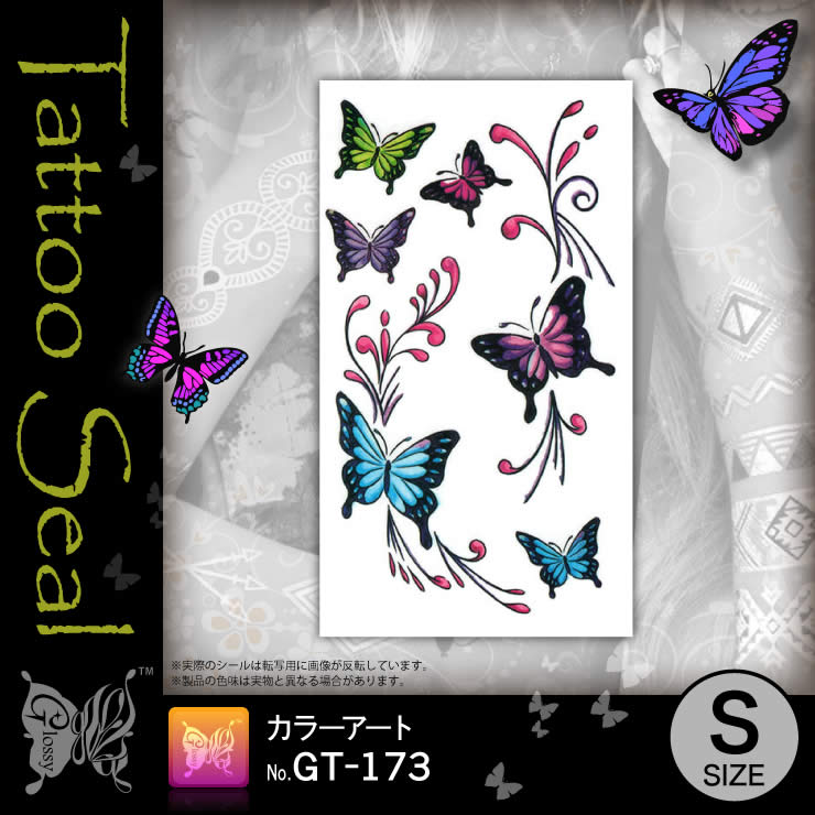 ���ȥ��������� ���顼������ (GT-173) ��10���åȡ�