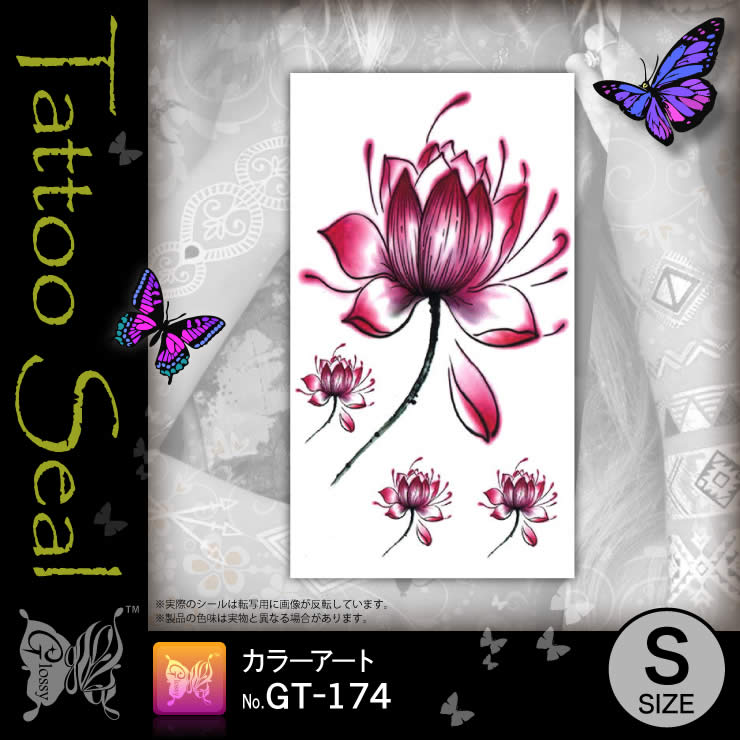 ���ȥ��������� ���顼������ (GT-174) ��10���åȡ�