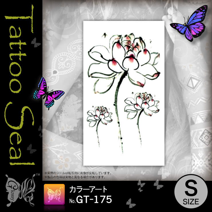 ���ȥ��������� ���顼������ (GT-175) ��10���åȡ�